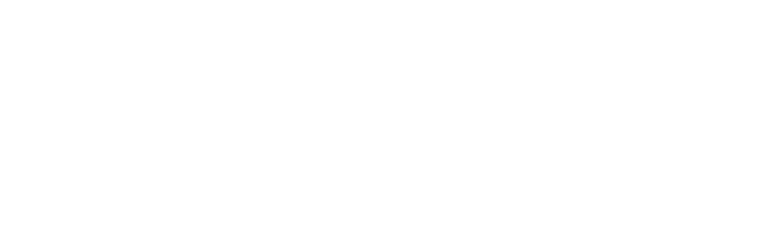 Logo Foro XXVII_blanco